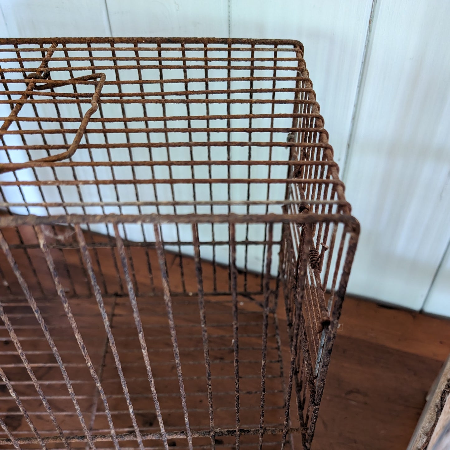 Set of 3 Antique Birdcages