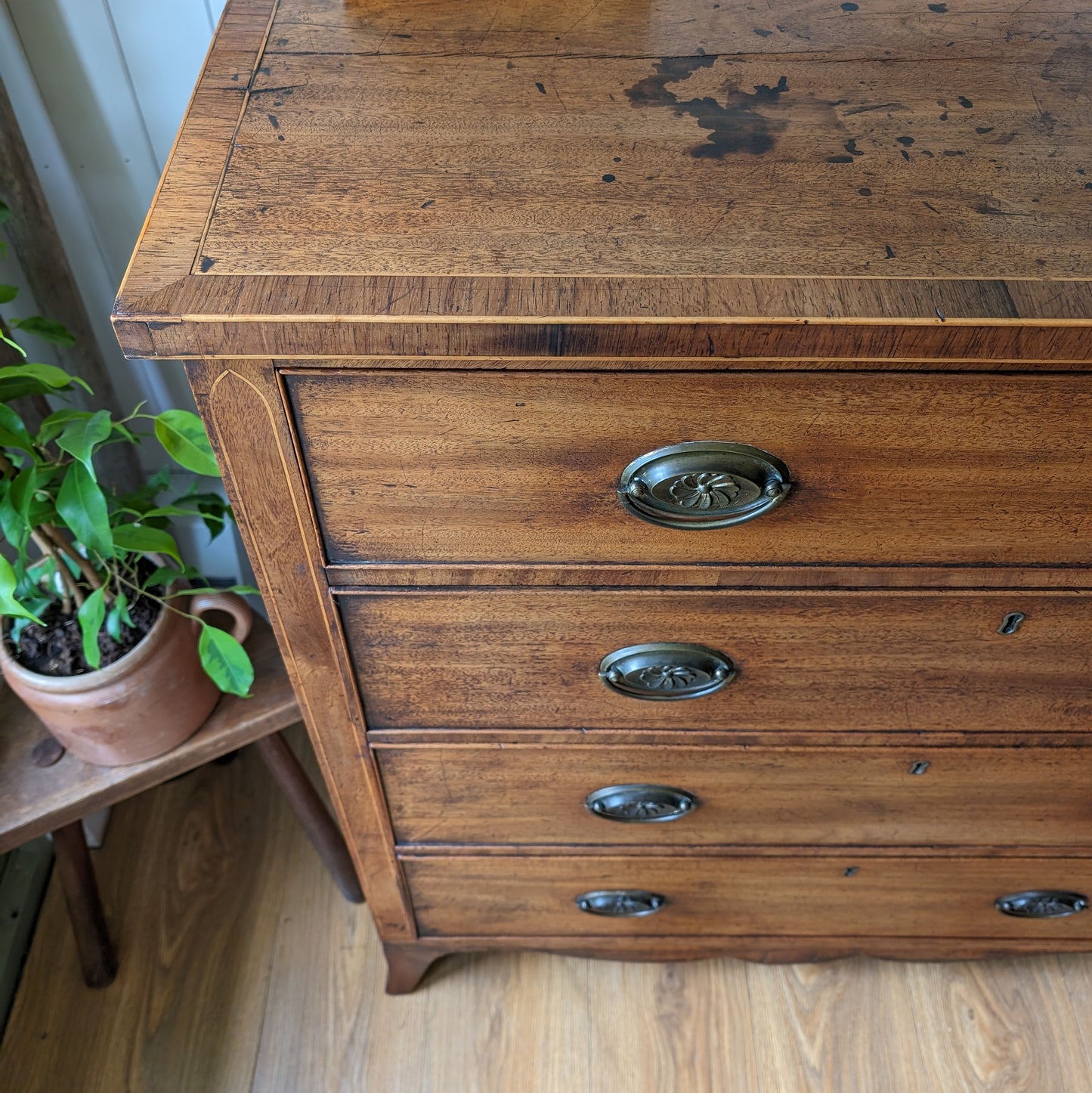 Georgian Indian Chest of Drawers