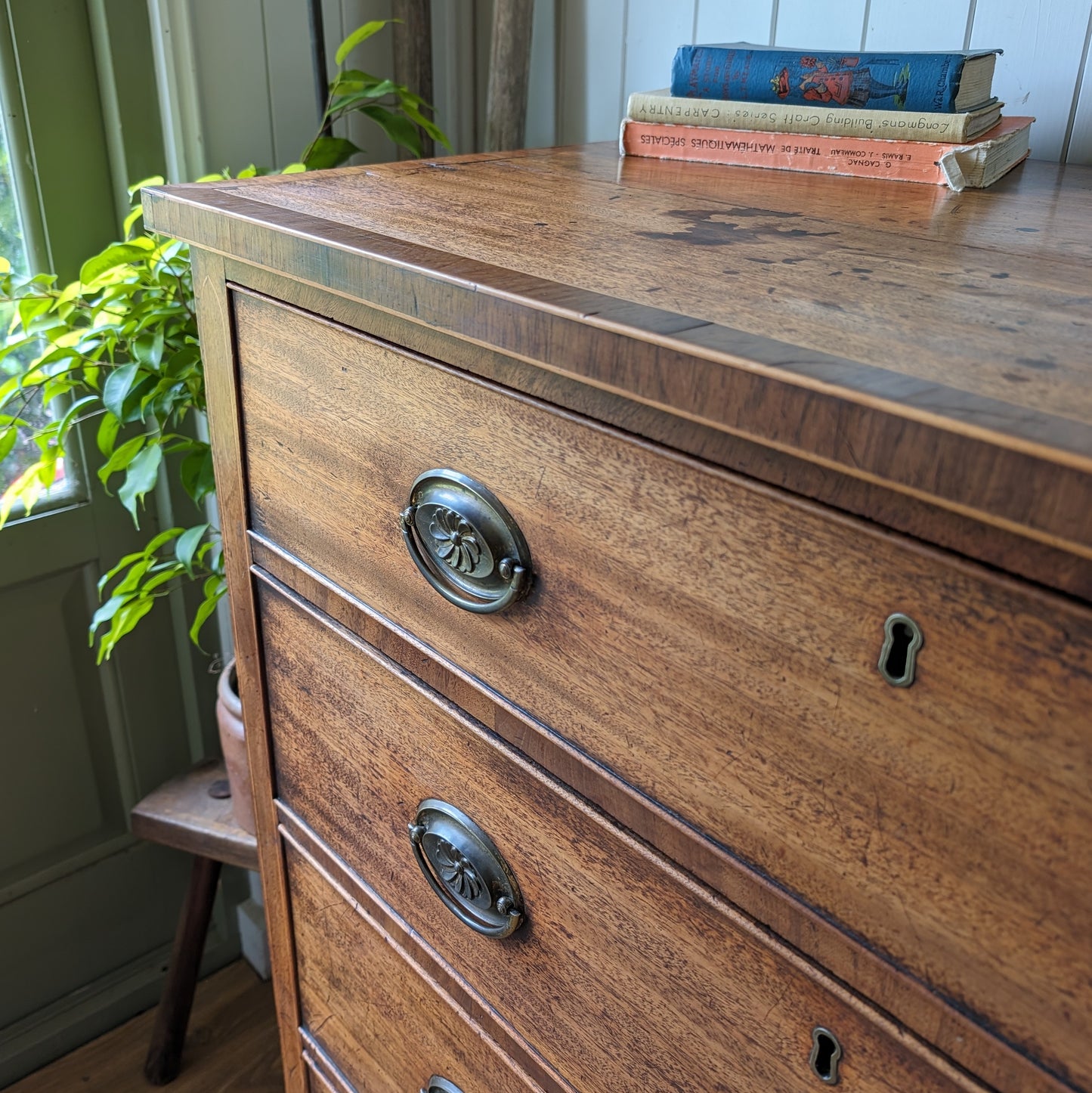 Georgian Indian Chest of Drawers