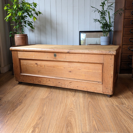 Rustic Victorian Pine Trunk