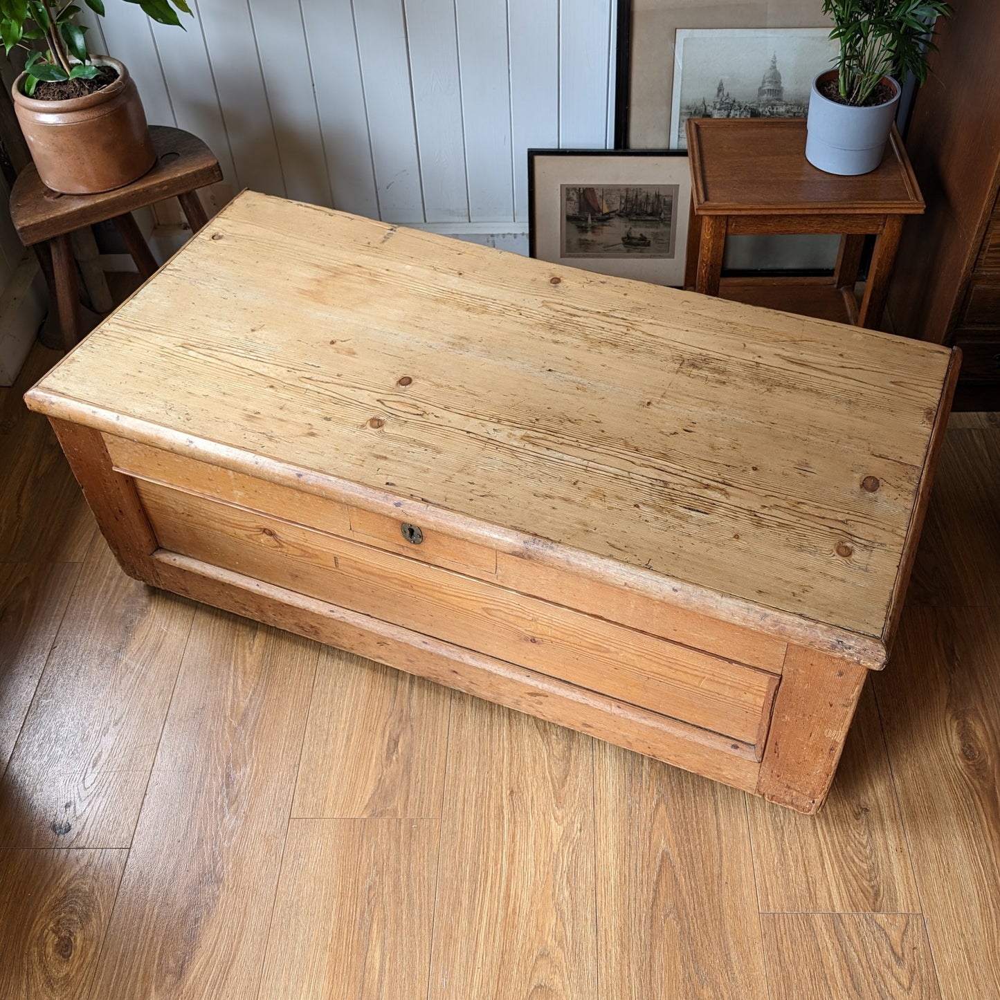 Rustic Victorian Pine Trunk