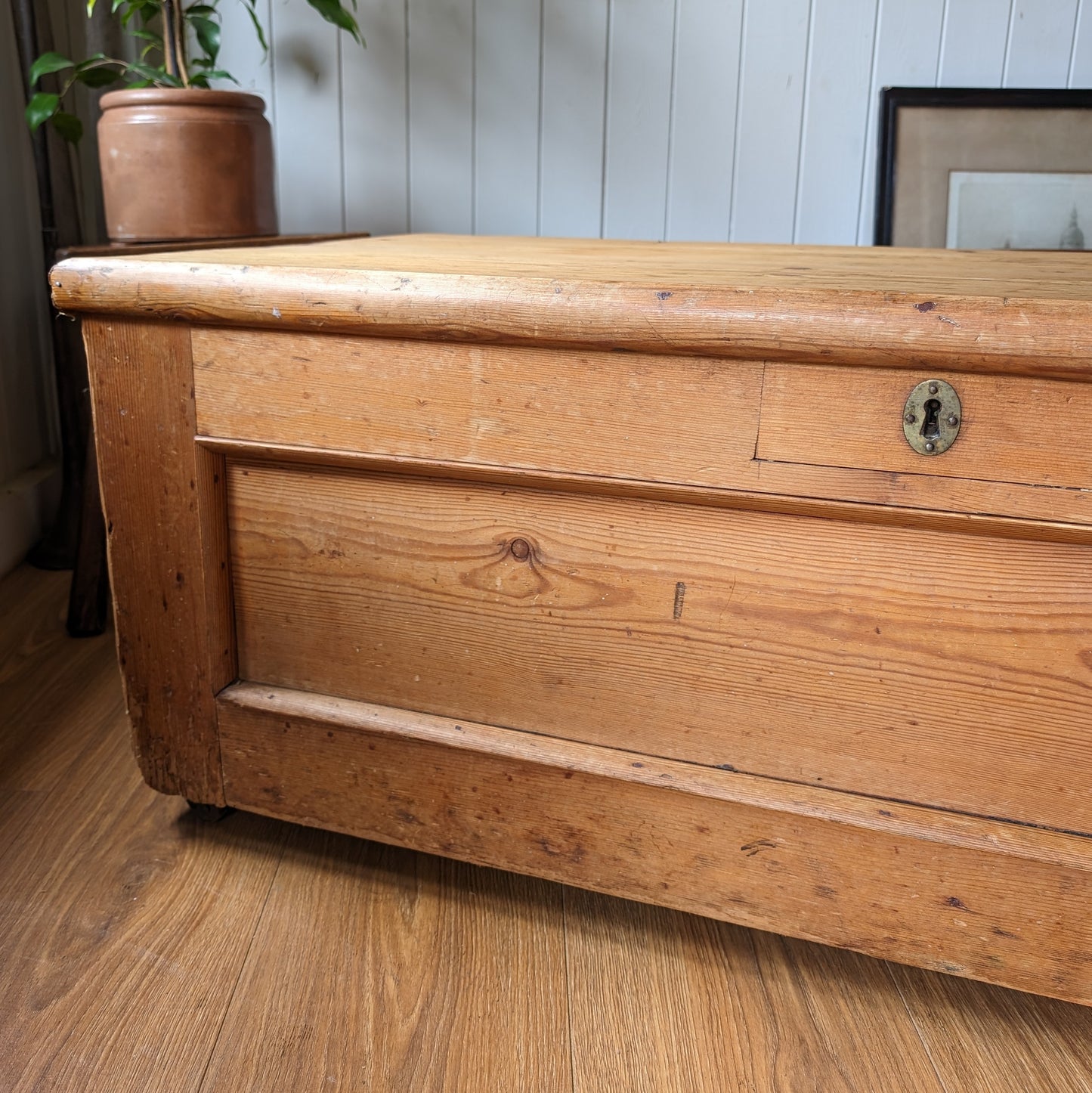 Rustic Victorian Pine Trunk