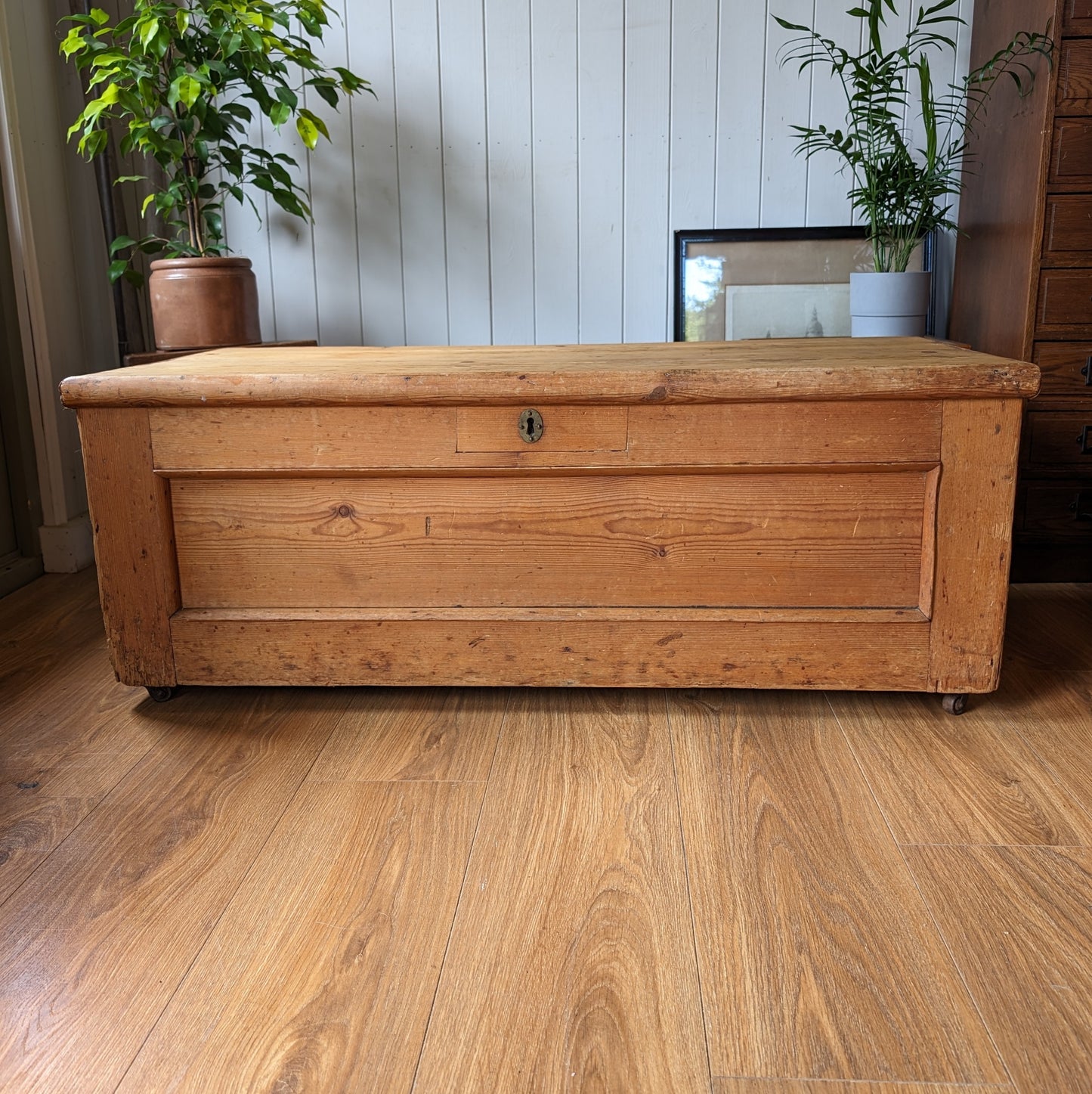 Rustic Victorian Pine Trunk