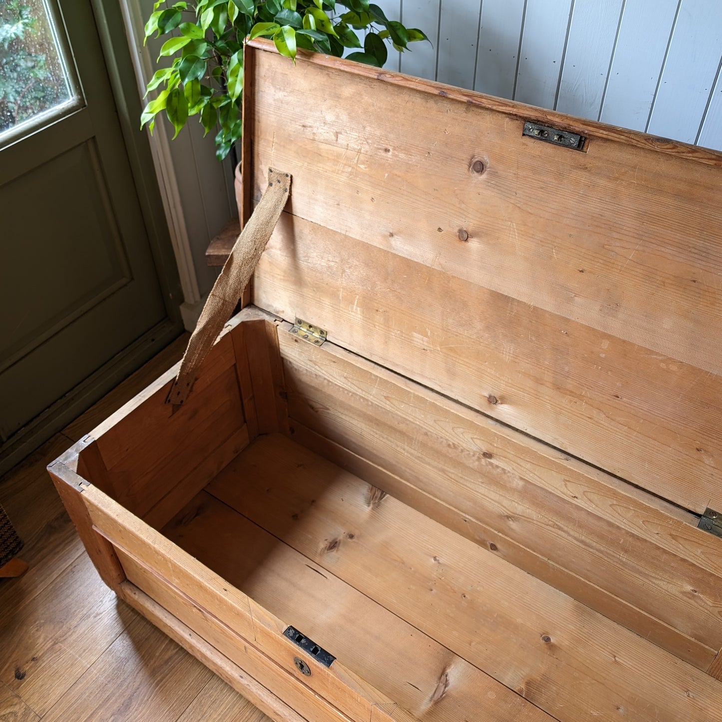 Rustic Victorian Pine Trunk