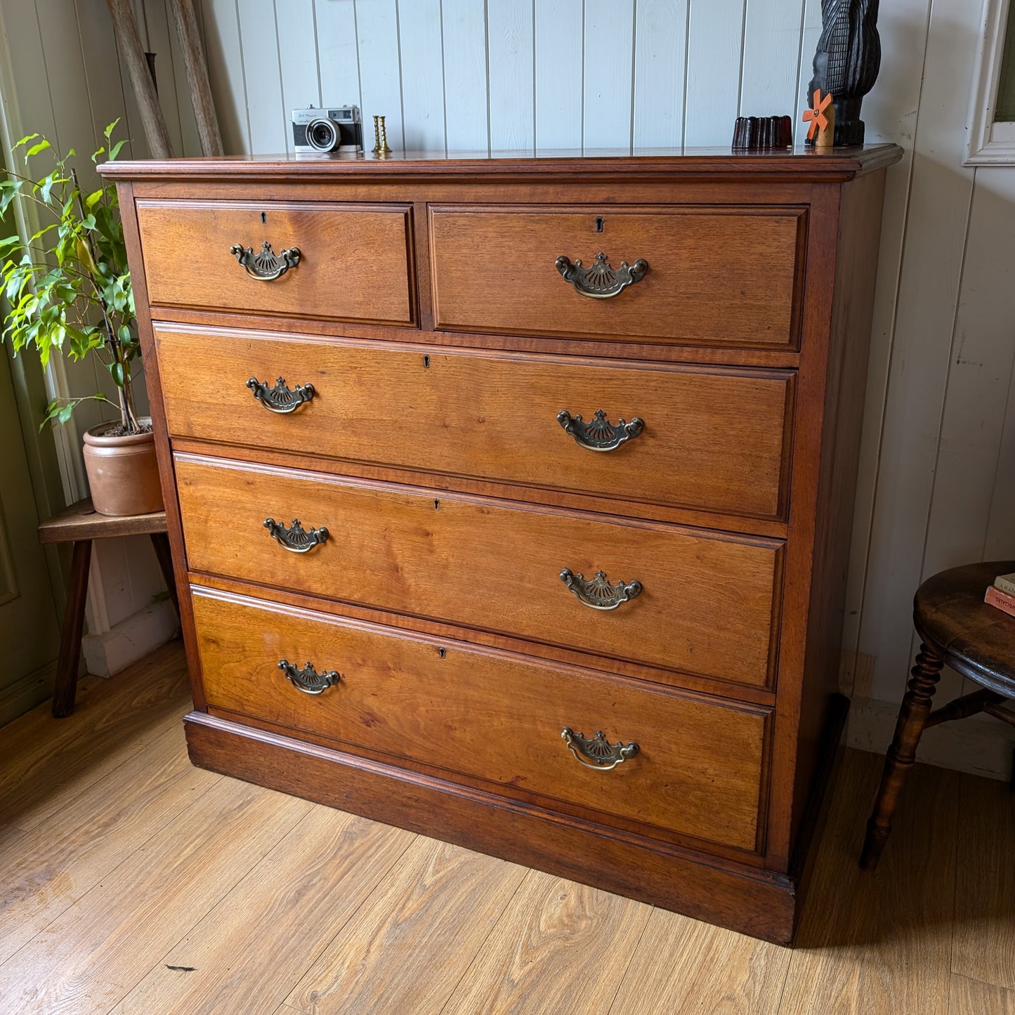 Edwardian Chest of Drawers Manufactured by JAs Schoolbred & Co