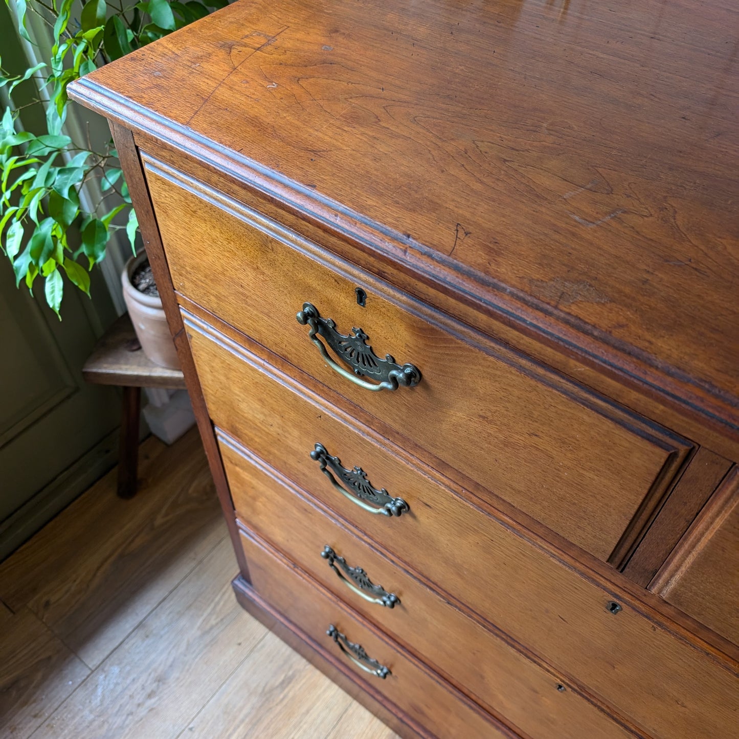 Edwardian Chest of Drawers Manufactured by JAs Schoolbred & Co