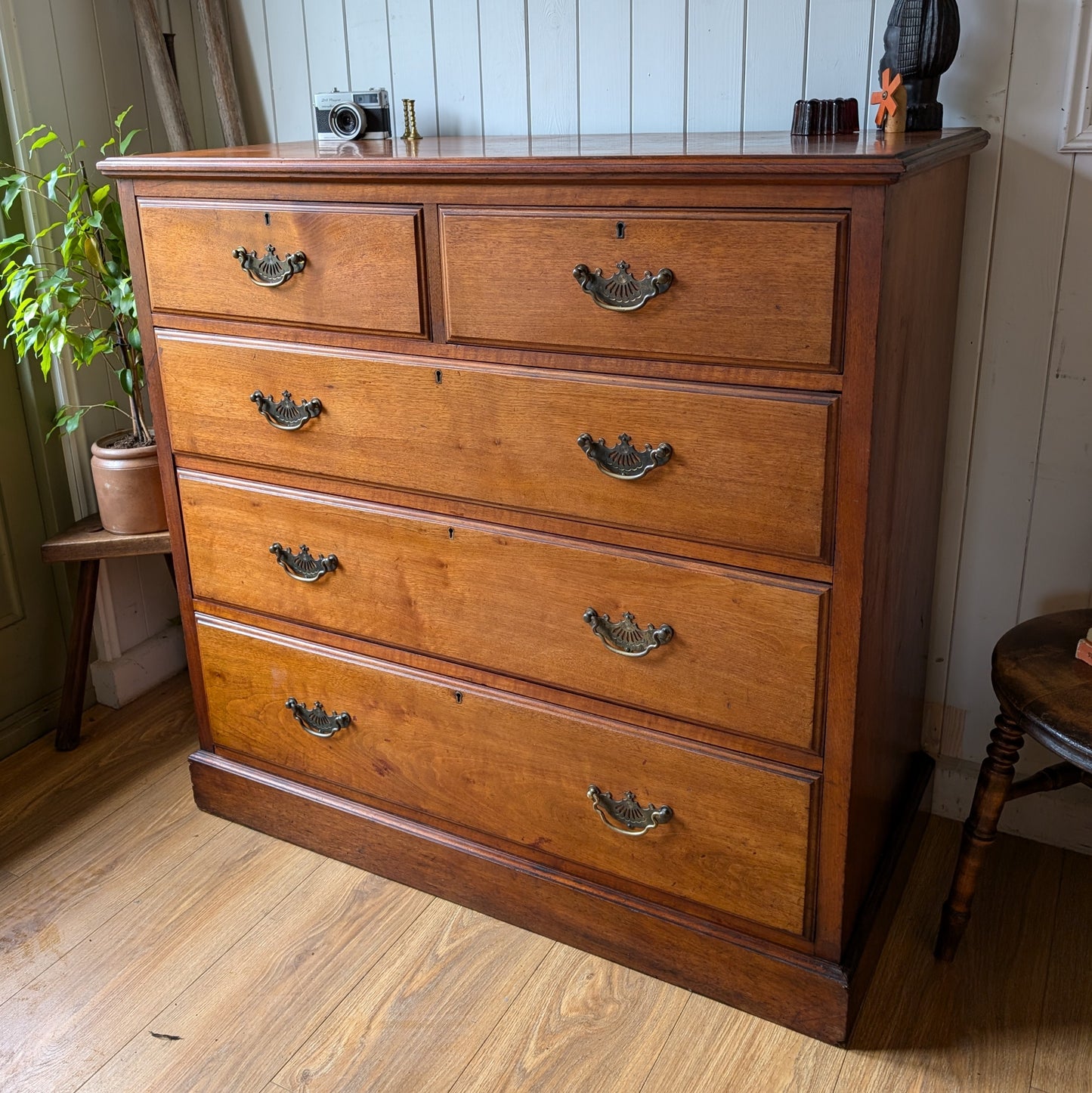 Edwardian Chest of Drawers Manufactured by JAs Schoolbred & Co