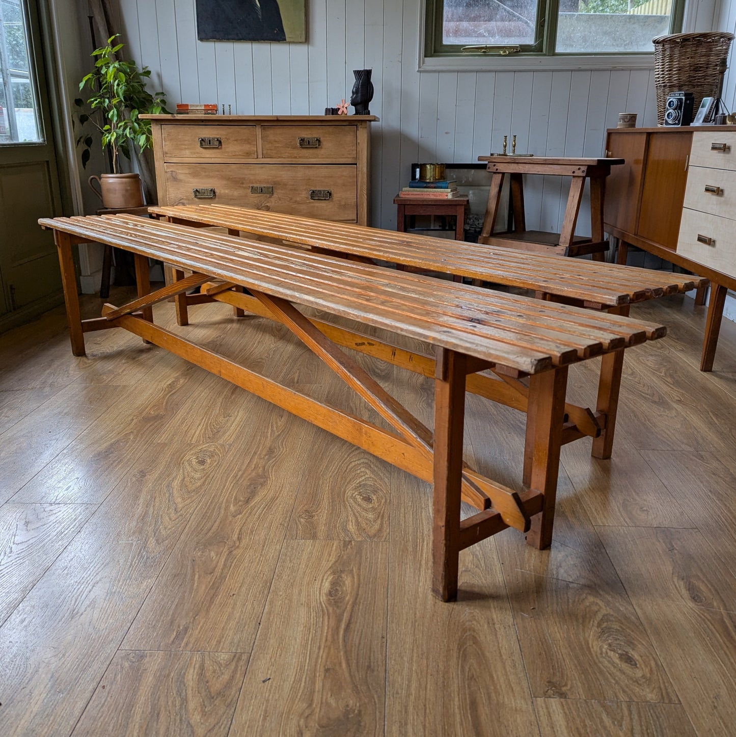 Pair of 1950s School Benches